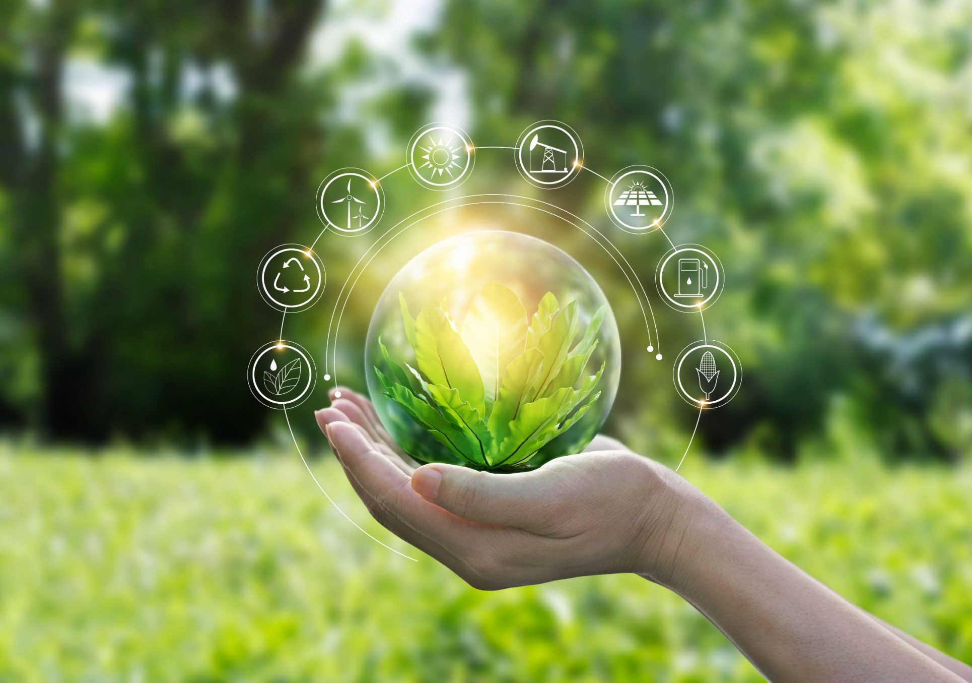 Sustainable values
